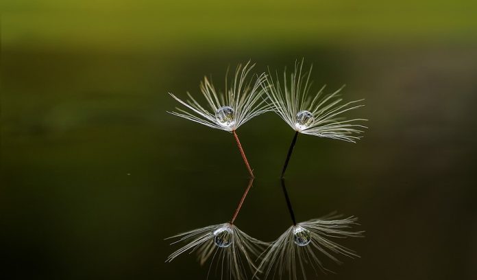 নৈতিক শিক্ষা এবং মানসিক সুস্থতা