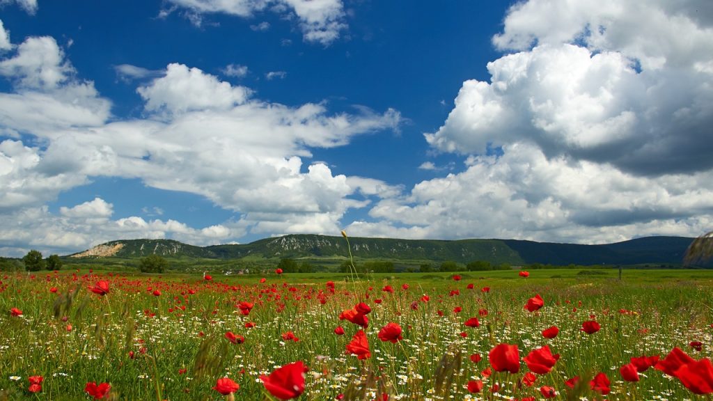 ঋতুস্রাব বন্ধ সমস্যা ও সমাধানের কথা